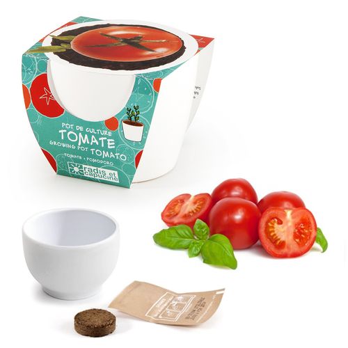 Tomate cerise dans mini pot en c�ramique