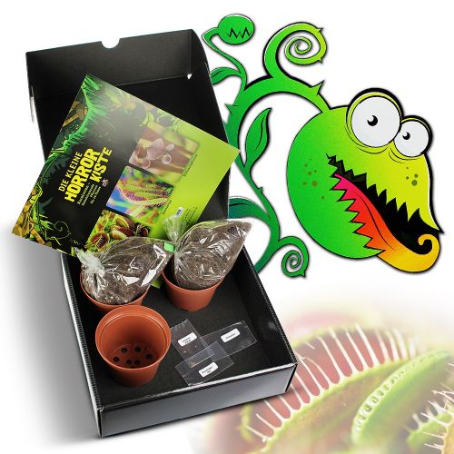 Kleine Horrorkiste - Geschenkset