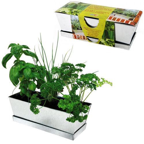KÃŒchenkrÃ€uter im Zink Blumenkasten