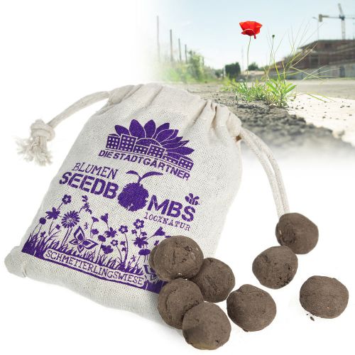 Seedbombs - Schmetterlingswiese