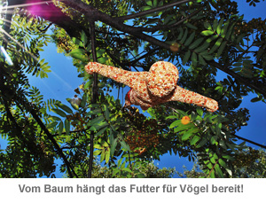 Vogelfutter - Bungee Jumping - 2 Vogelfutter - Bungee Jumping - 2