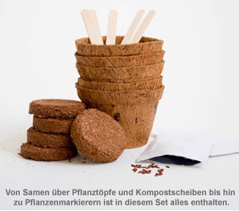 Fleischfressende Pflanzen - Selber säen - 2 Fleischfressende Pflanzen - Selber säen - 2