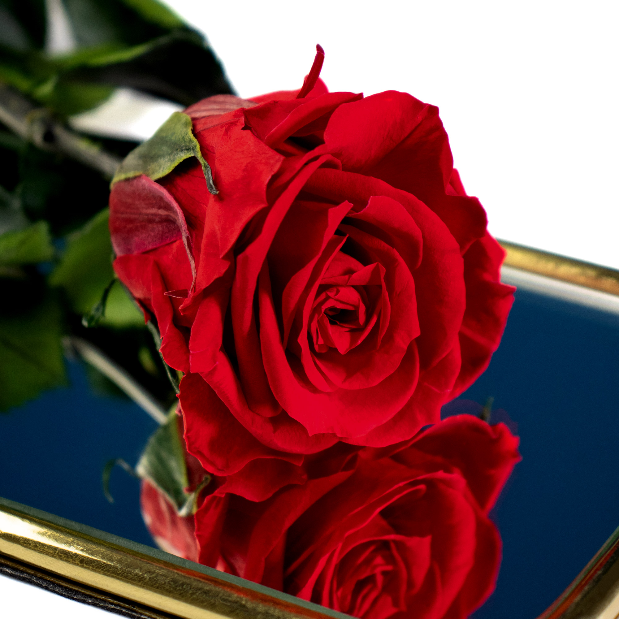 Goldene Vergoldete Rose für ewige Liebe Gravur Weihnachten Weihnachts Geschenk 