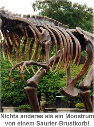 Tyrannosaurus Rex lebensgroß - 2