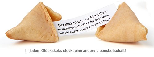 Liebes Glückskekse Geschenkbox mit 12 Sprüchen romantische Idee