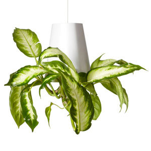 Sky Planter - 2 Sky Planter - 2