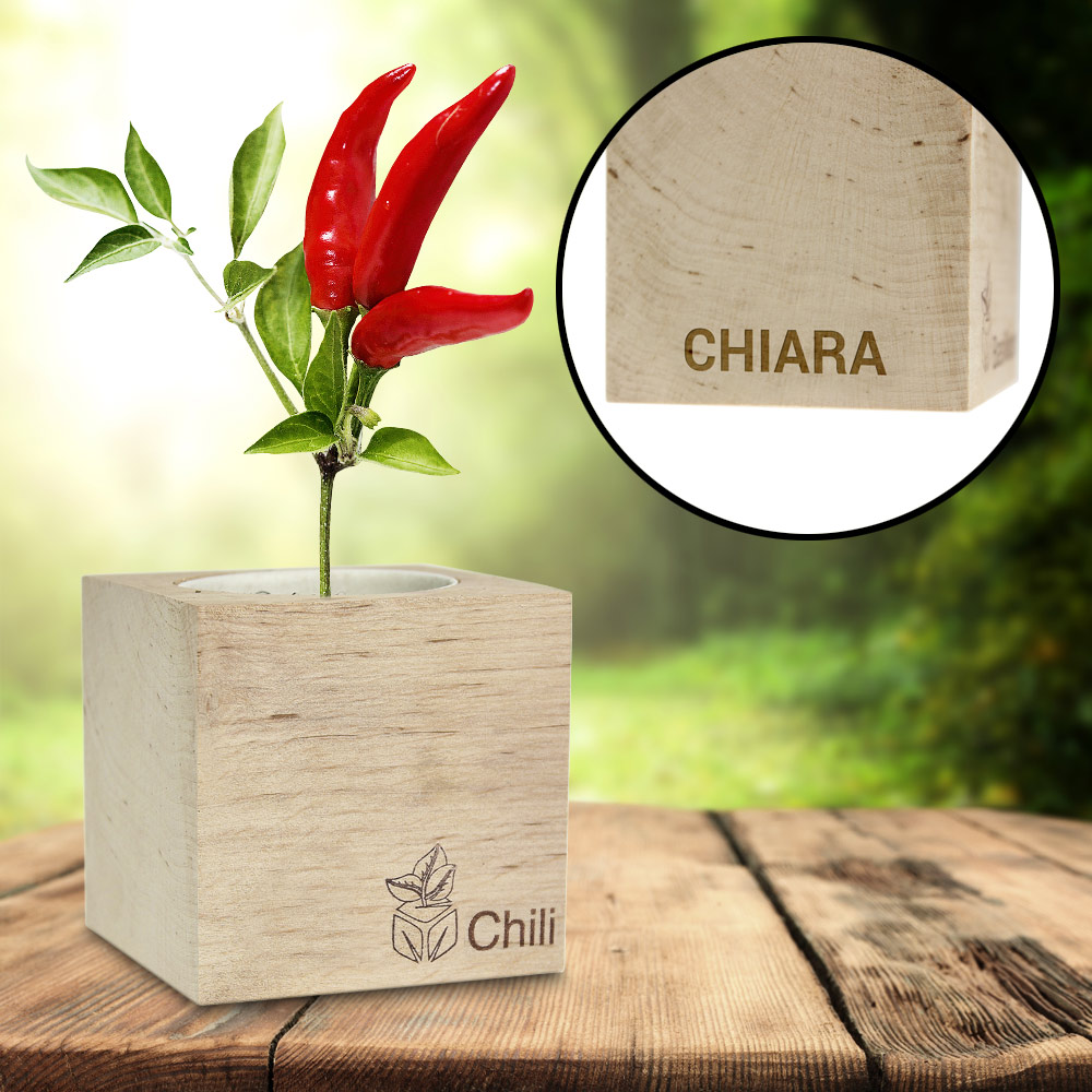 Ecocube Chili - 2 Ecocube Chili - 2