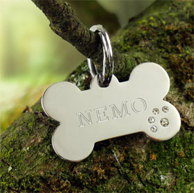 Hundehalsband Anhänger mit Gravur - Knochen - 4 Hundehalsband Anhänger mit Gravur - Knochen - 4