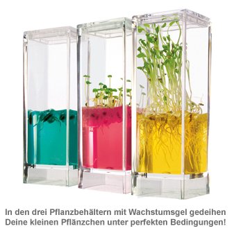 Gel Gewächshaus - Ökosystem Garten - 2 Gel Gewächshaus - Ökosystem Garten - 2