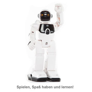 Humanoider Roboter - 2 Humanoider Roboter - 2