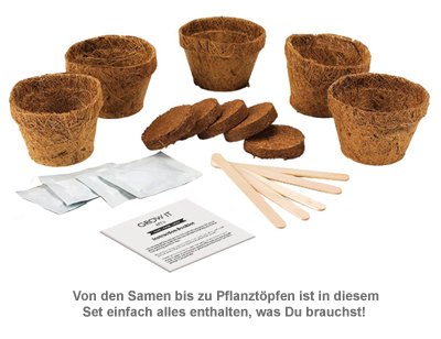 Bier Hopfen Set - Selber pflanzen - 2 Bier Hopfen Set - Selber pflanzen - 2