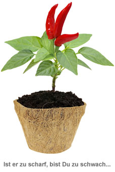 Habanero Chili Set - Selber pflanzen - 2 Habanero Chili Set - Selber pflanzen - 2