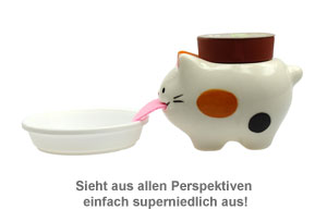 Wilde Erdbeere im Peropon Topf - Katze - 3 Wilde Erdbeere im Peropon Topf - Katze - 3