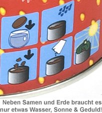 Erdbeere in schöner Geschenkdose - 2 Erdbeere in schöner Geschenkdose - 2