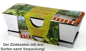 Küchenkräuter im Zink Blumenkasten - 2 Küchenkräuter im Zink Blumenkasten - 2