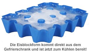Bierkühler - Eisblockform für Bierkisten - 4 Bierkühler - Eisblockform für Bierkisten - 4