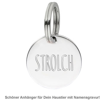 Halsbandanhänger für Hunde und Katzen - Pfote - 2 Halsbandanhänger für Hunde und Katzen - Pfote - 2