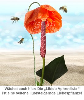 Herzinsel für Verliebte - 6 Herzinsel für Verliebte - 6