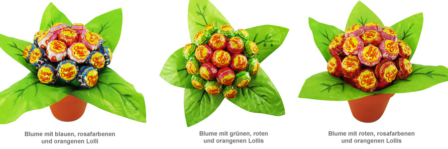 Lolli Blume - 2 Lolli Blume - 2