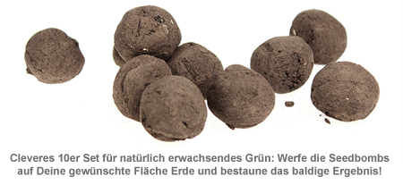 Seedbombs - Wilde Wiese - 2 Seedbombs - Wilde Wiese - 2