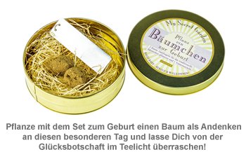 Set zur Geburt - Glückslicht und Bäumchen - 2 Set zur Geburt - Glückslicht und Bäumchen - 2