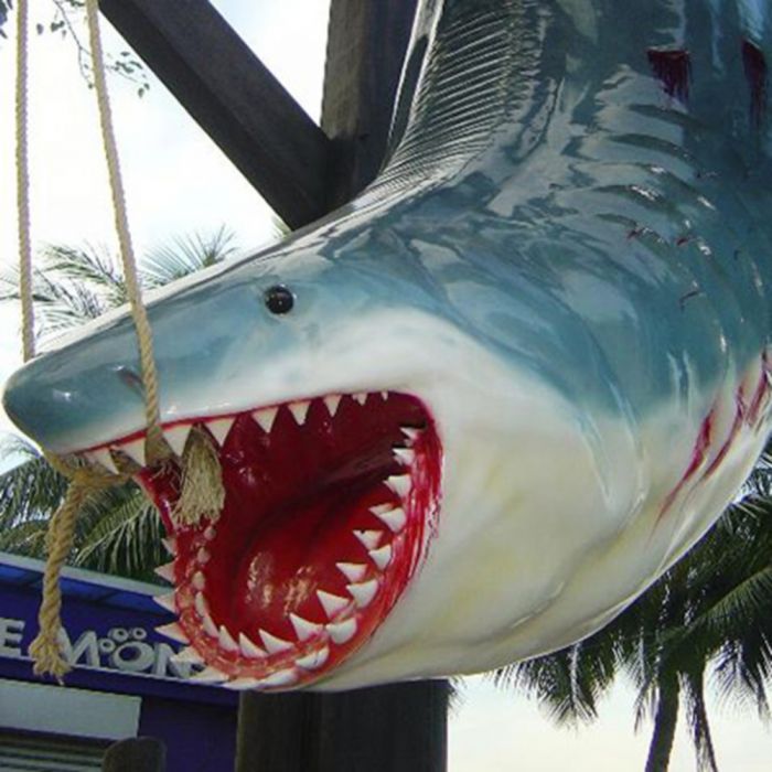 Requin blanc en taille réelle - trophée de pêcheur