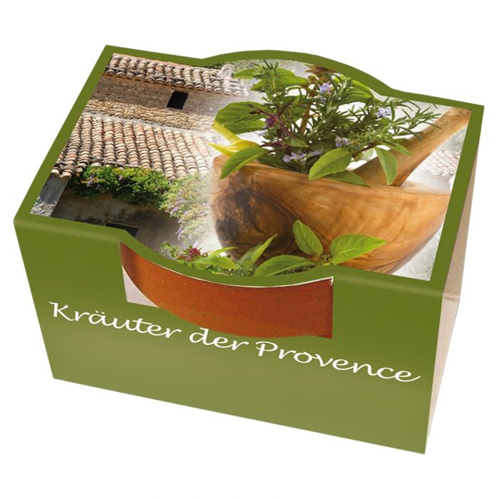 10er Blumenset zum Selberpflanzen - Kräuter der Provence