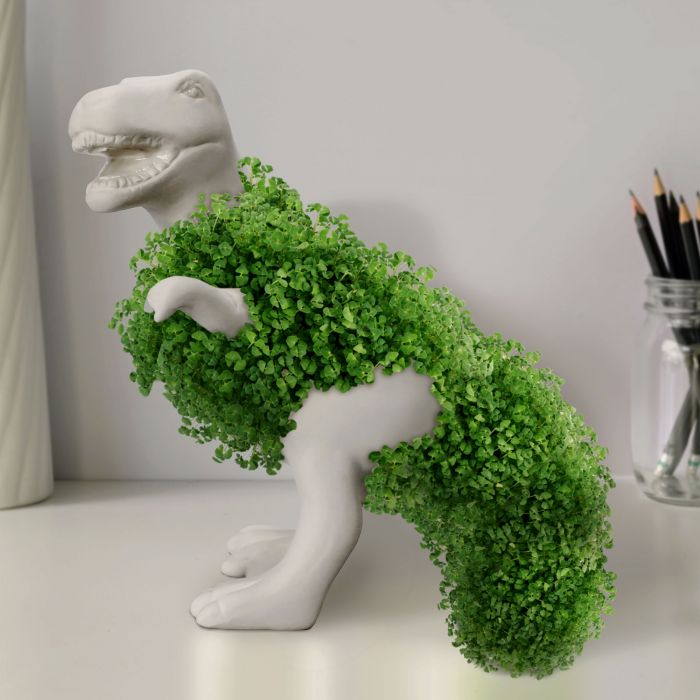 Chia Saurus