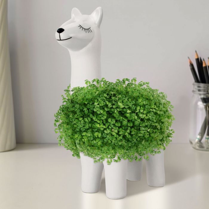 Green Lama