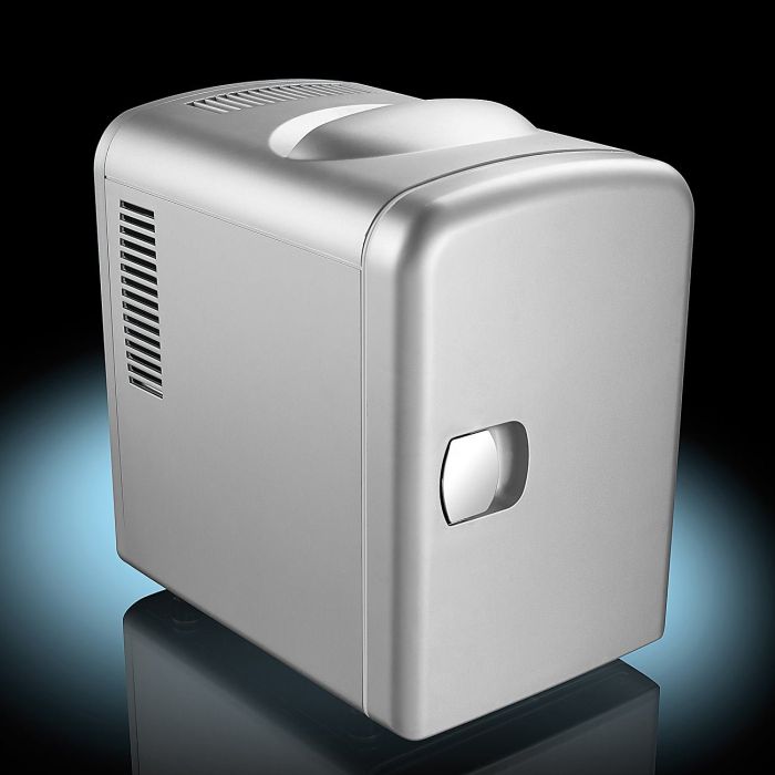 Mini Kühlschrank für 12/230 V