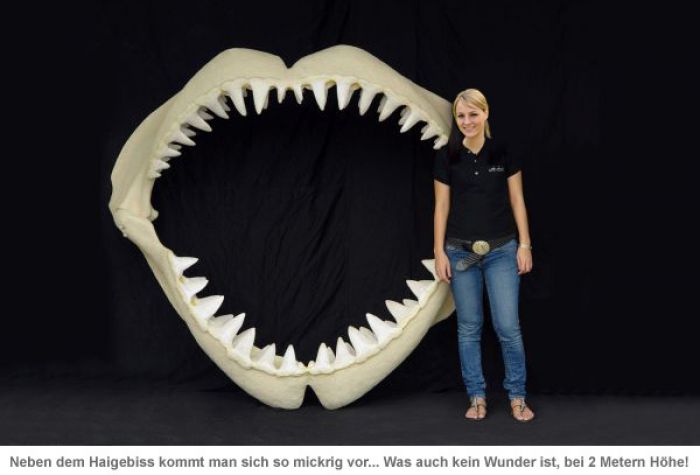 Weißer Hai Angler Trophäe - lebensgroß