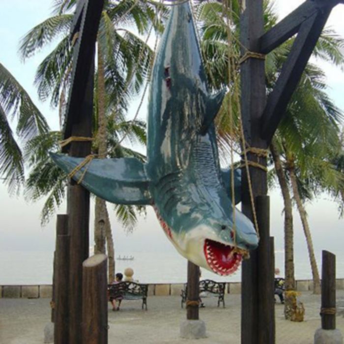 Weißer Hai Angler Trophäe - lebensgroß