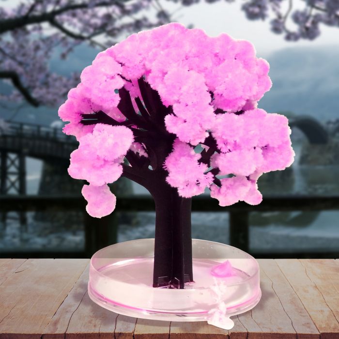 Magischer Sakura Baum