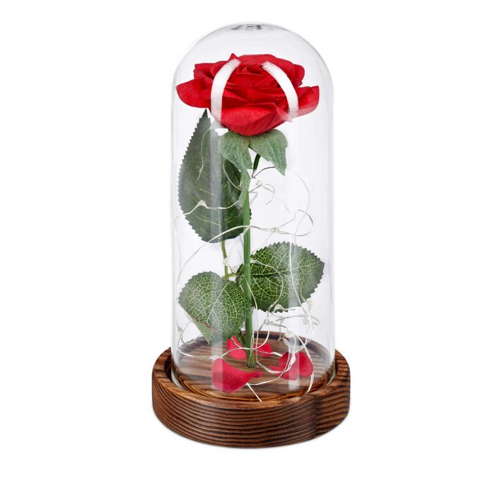 Rose unter Glasglocke