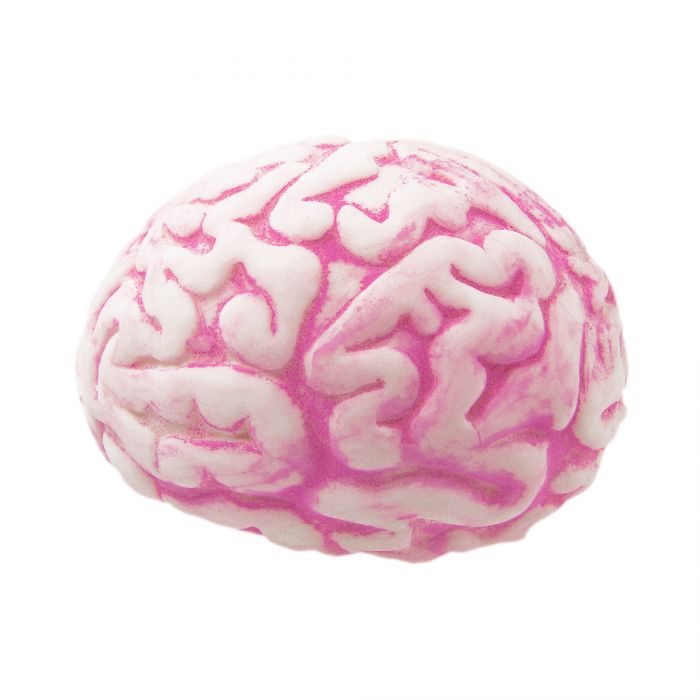 Stressball - Gehirn
