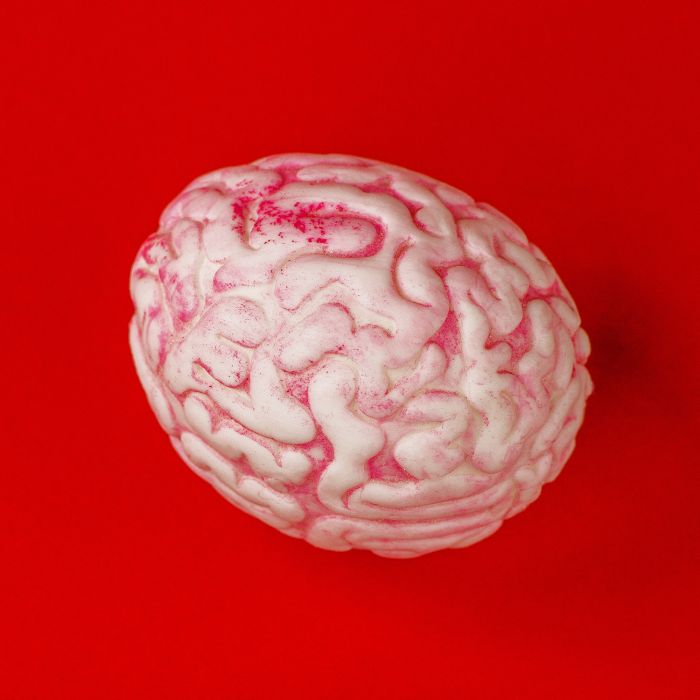 Stressball - Gehirn