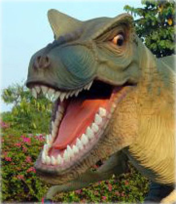 Tyrannosaure Rex - Taille réelle