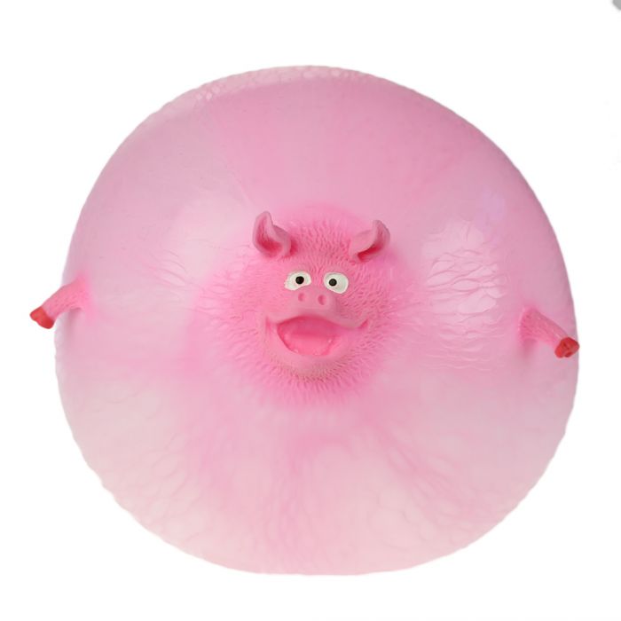 Ballons gonflables animaux  Set de 4 