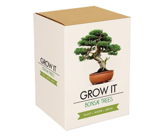 Set arbre bonsai - planter soi-même