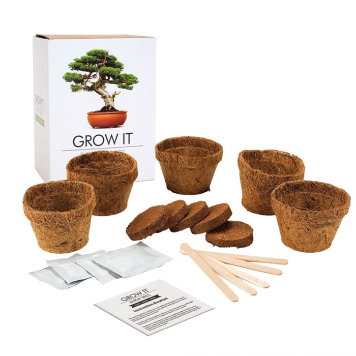 Set arbre bonsai - planter soi-même