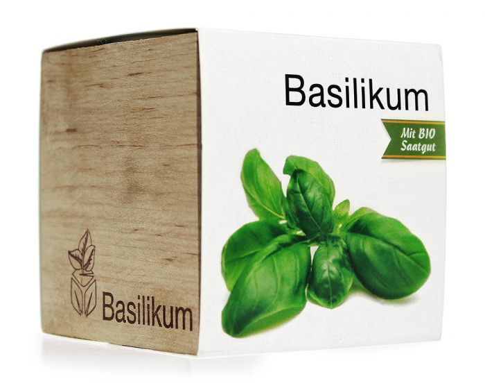 Ecocube Basilikum