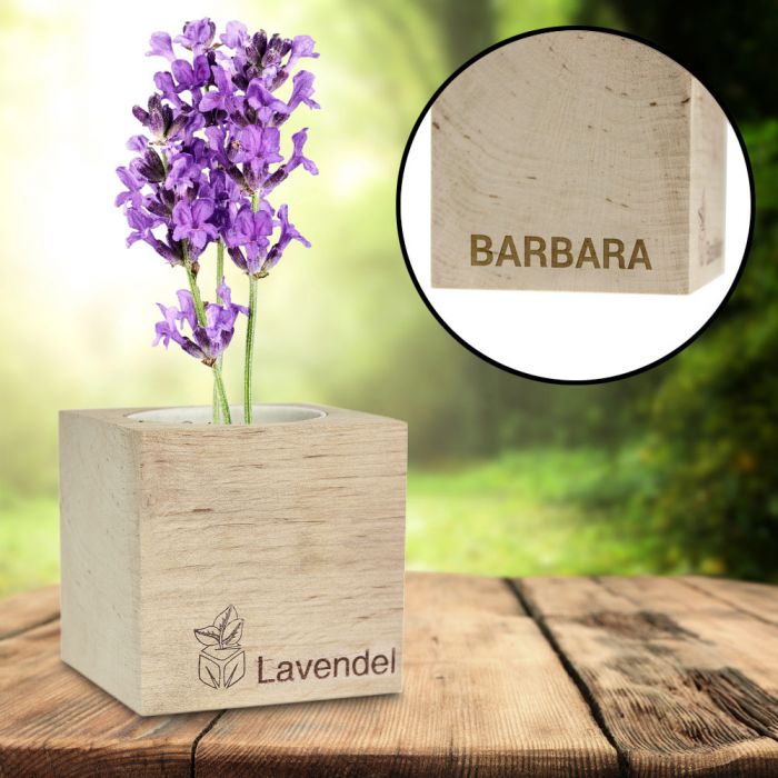 Ecocube Lavendel