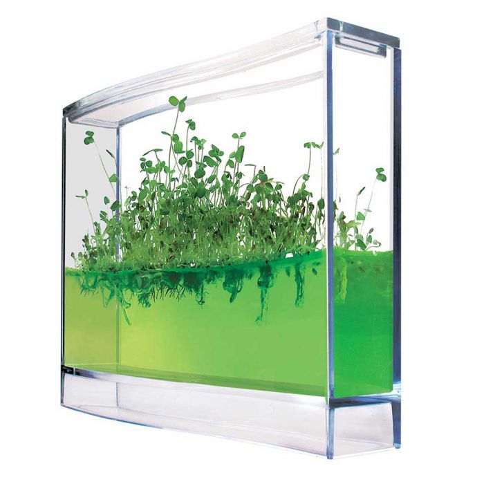 Mini serre à gel pour plantes aromatiques - Écosystème