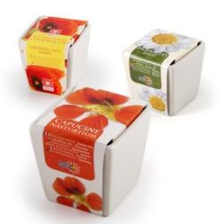 Fleurs d'�t� dans mini pot en c�ramique 