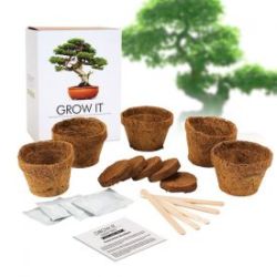 Set arbre bonsai - planter soi-m�me