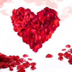 P�tales de rose - D�co