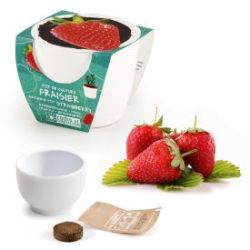 Fraise dans mini pot en c�ramique