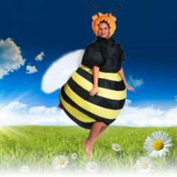 Costume d�abeille pour carnaval 