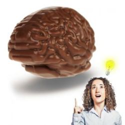 Cerveau en chocolat 