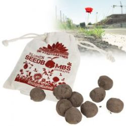 Seedbombs - R�gal d'abeilles